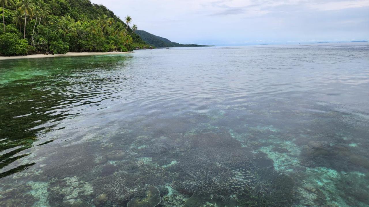 Terimakasih Homestay Pulau Mansuar Exterior photo