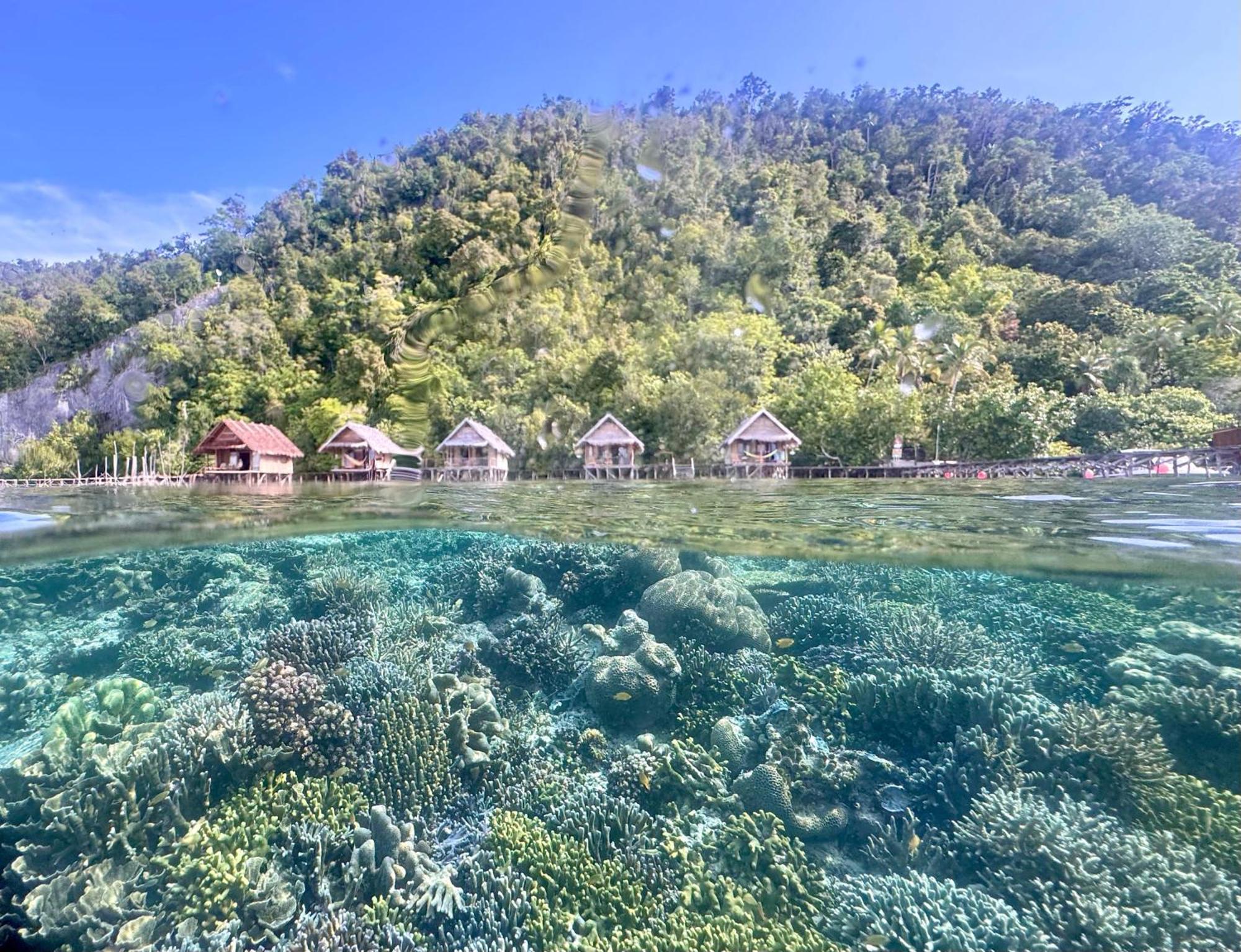 Terimakasih Homestay Pulau Mansuar Exterior photo